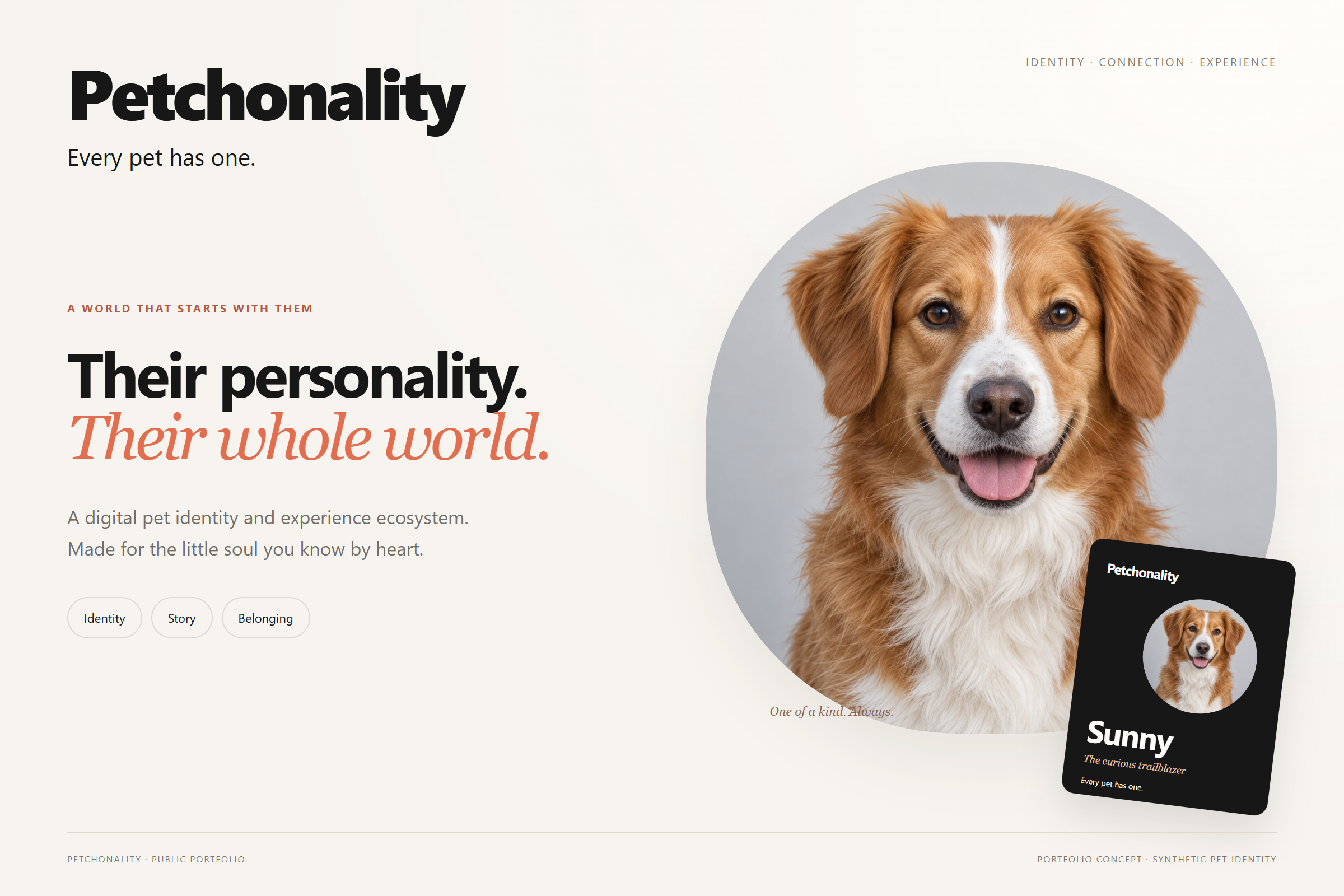 Synthetische hond als publieke referentie voor een digitale pet-identiteit